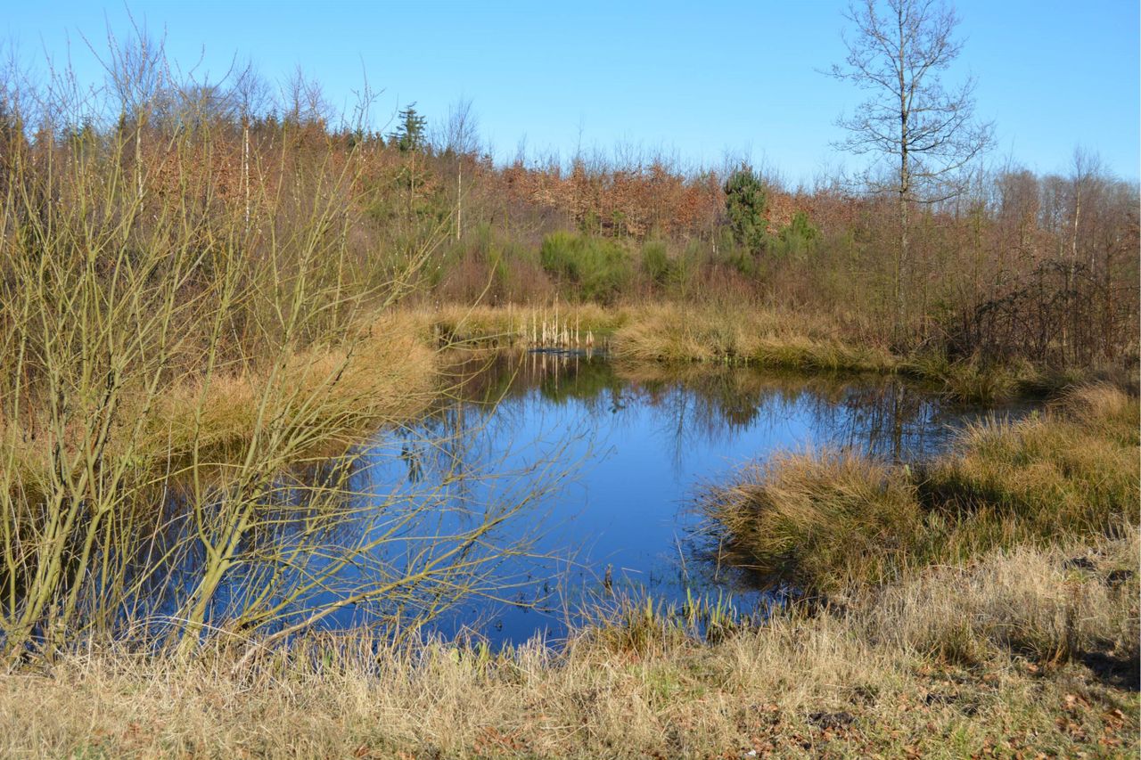 Støvring Hedevej 35, Rebild