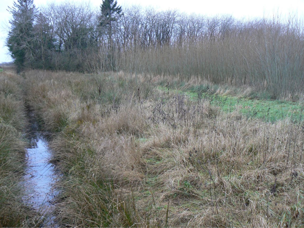 Skov/naturejendom Milbakvej
