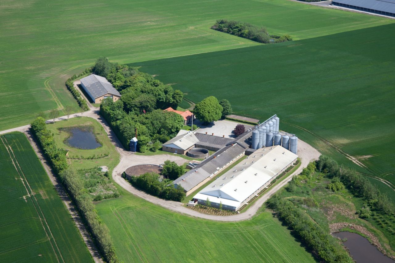 Vester Dammenvej 59, Hæstrup