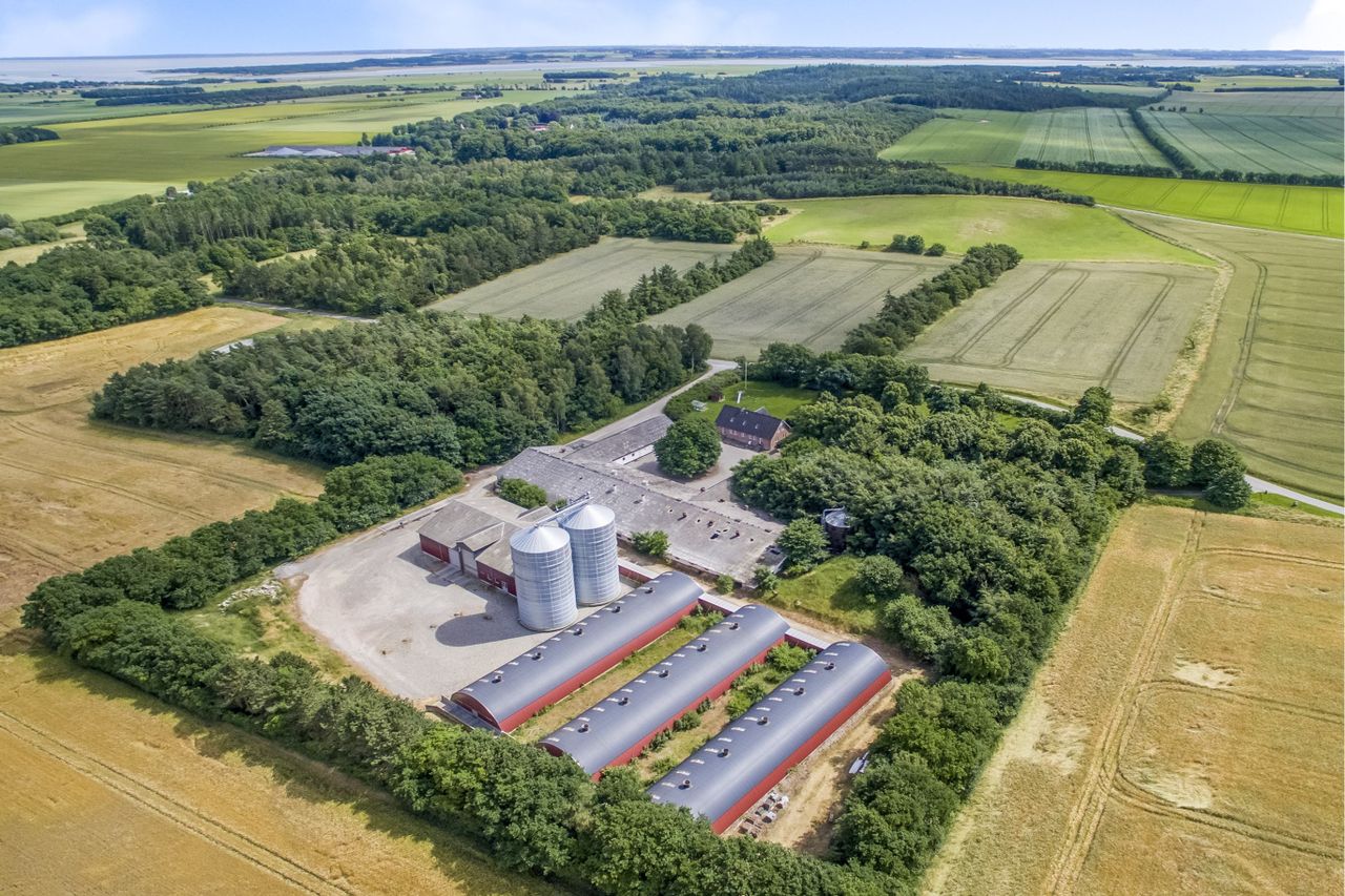 Østervangsvej 11, Dalbyneder