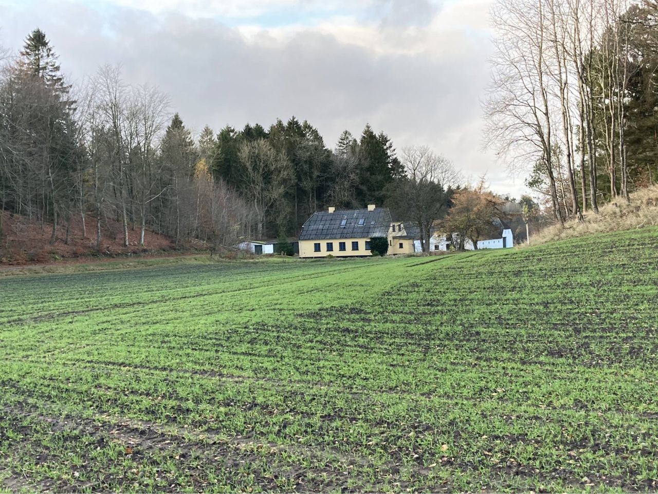 Vesterhedenvej 45, Guldbæk