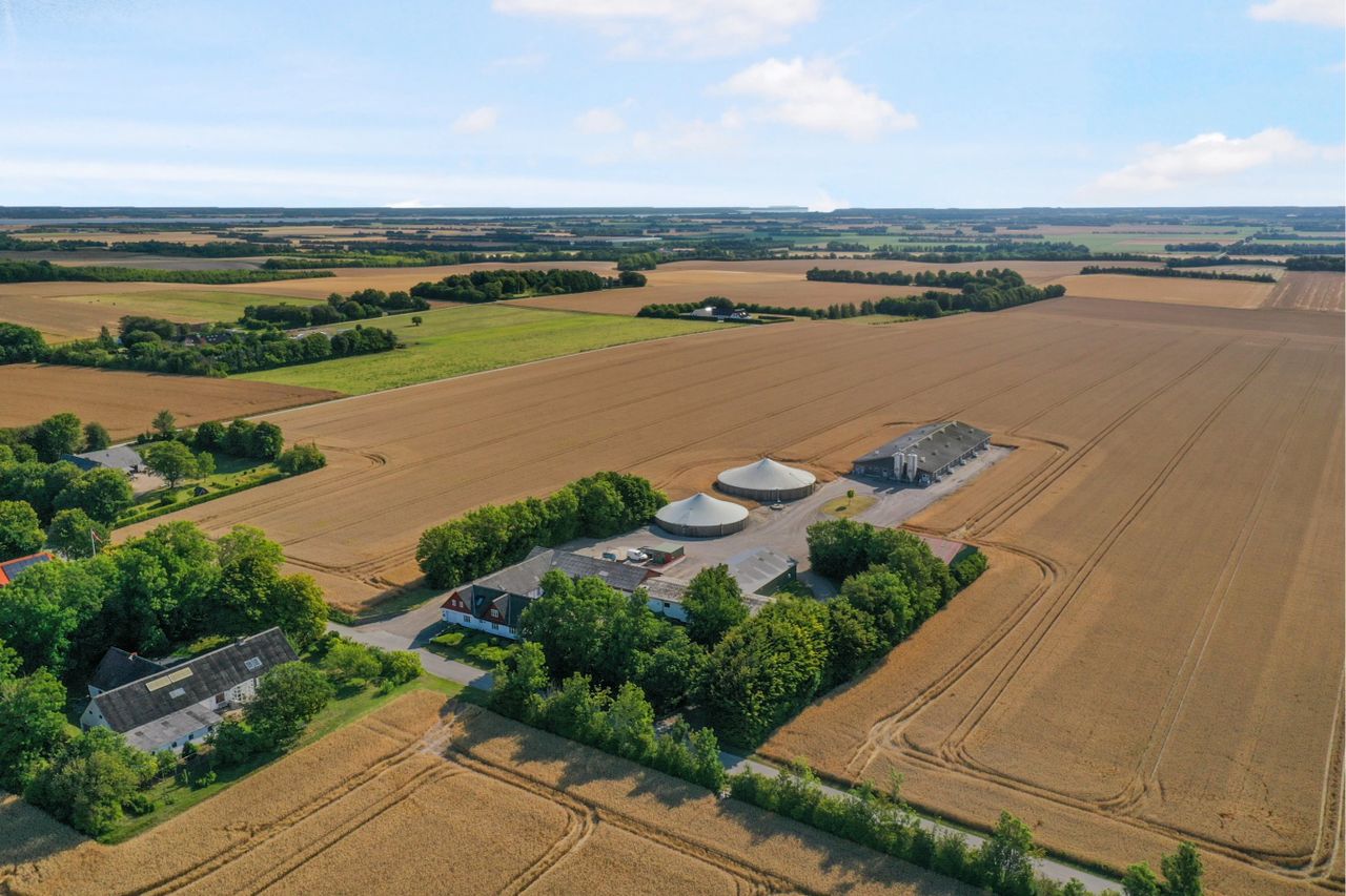 Tiendemarken 9, Gudumholm