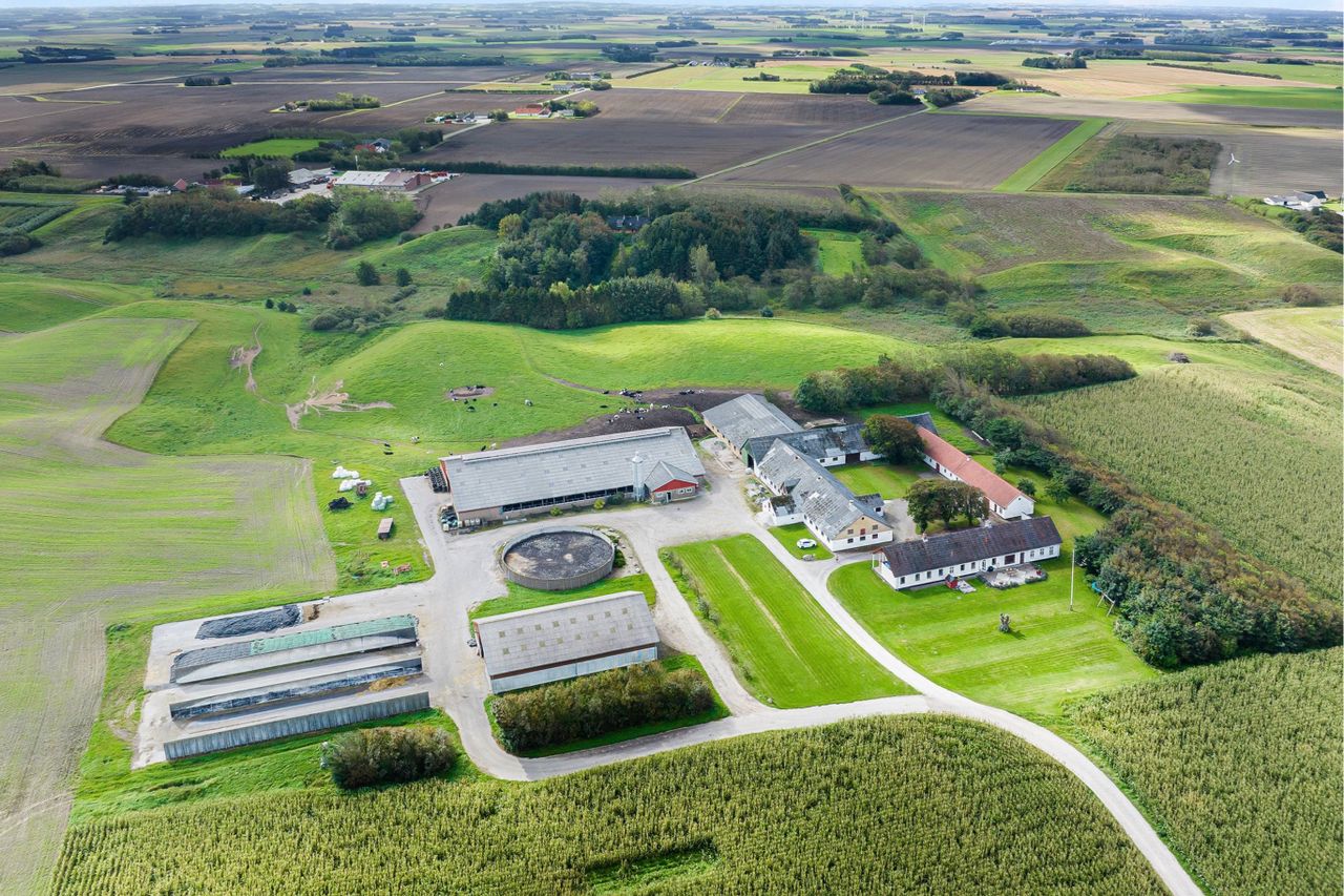 Nygårdsvej 25, Bakholm