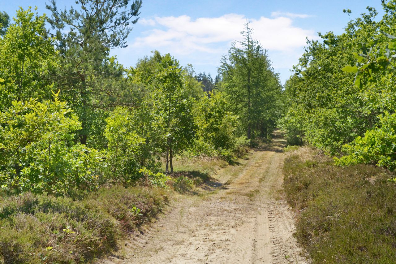Frejstrupvej 4, Frejstrup