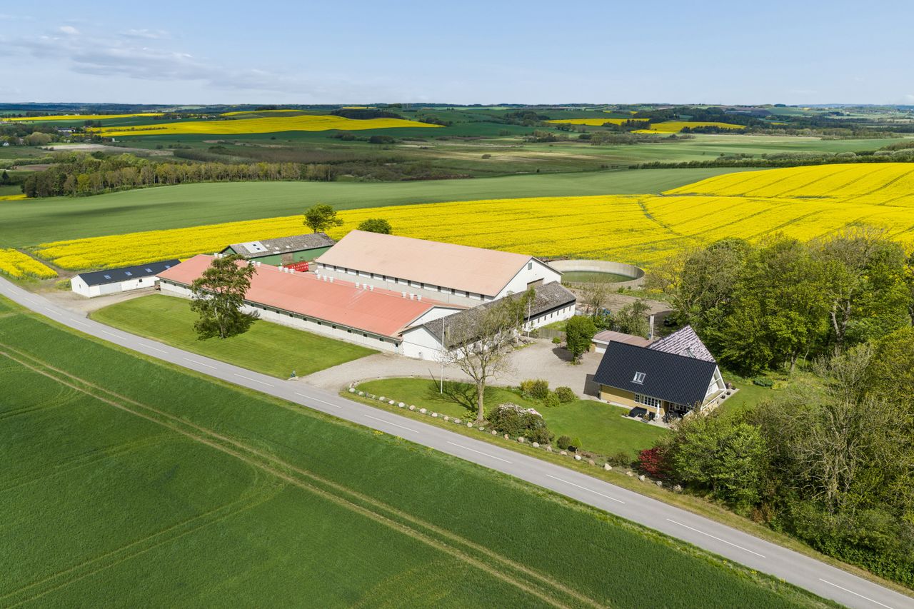 Skibstedbrovej 24, Skibsted
